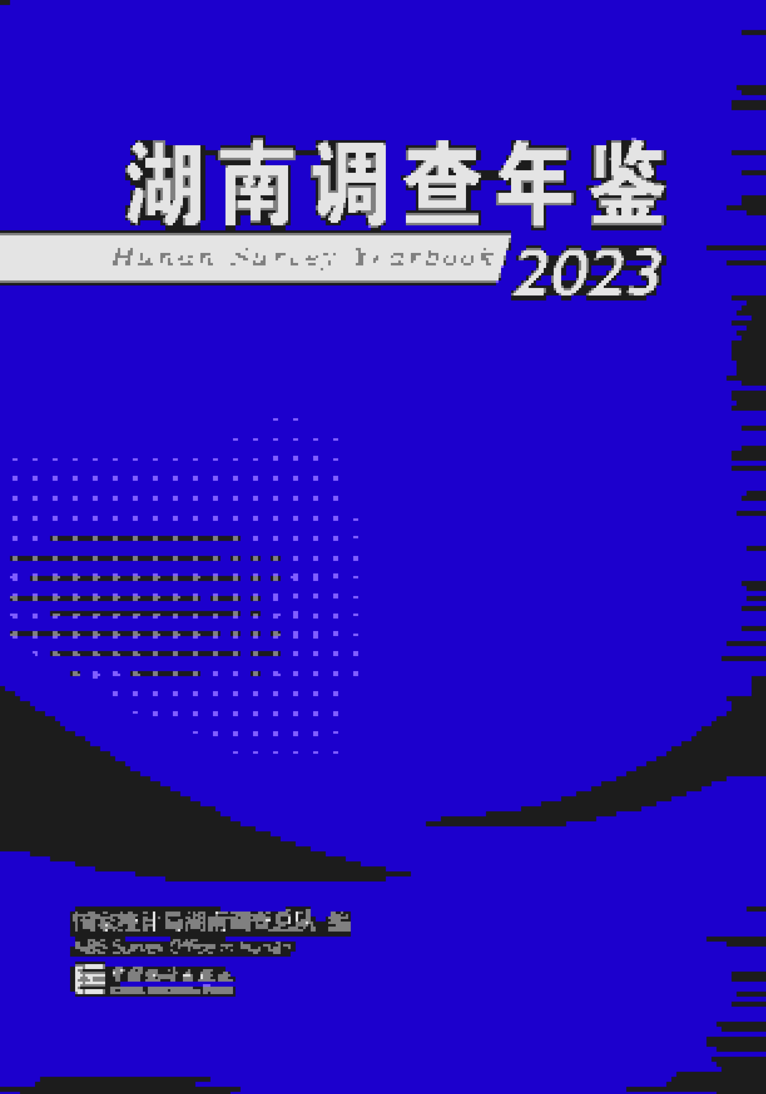 湖南調查年鑒2023